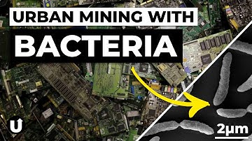 How Bioleaching is Revolutionising Electronics Recycling