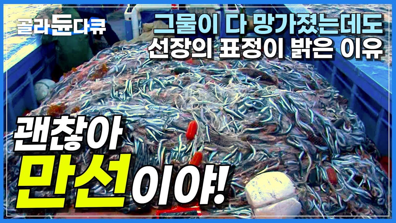 물고기 한마리 못 잡았는데 다른 배가 그물 다 망쳐놨다...│실낱 같은 희망으로 당겨 올린 마지막 그물│만선이다! 집에 가자~│양미리 어선│주문진항 24시│극한직업│#골라듄다큐