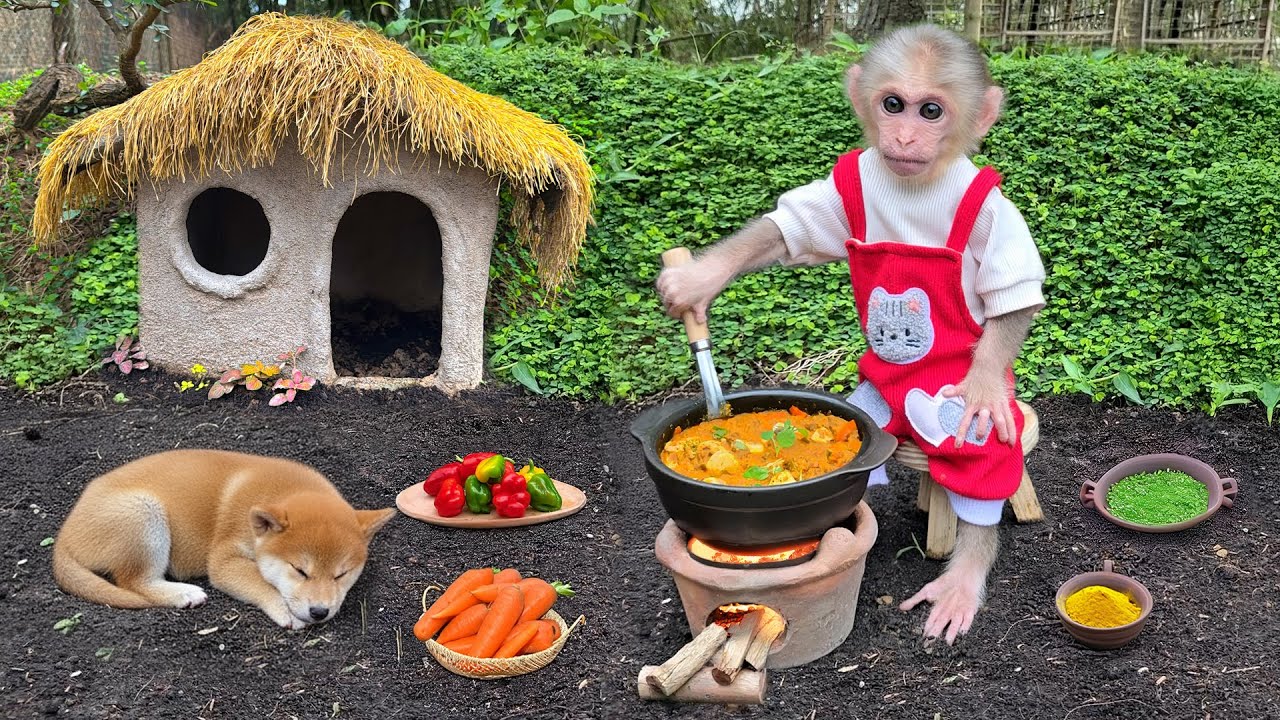 Baby monkey Xuka harvests Carrots and bell peppers on the farm and coks soup
