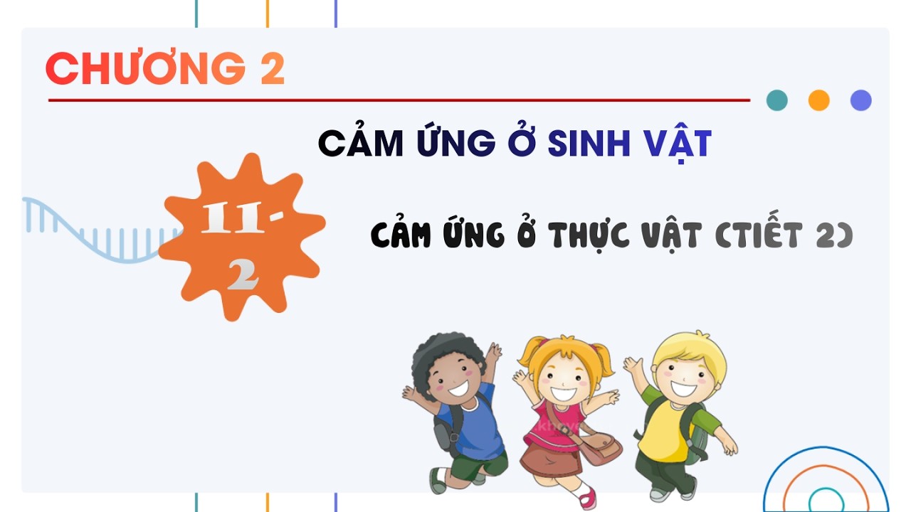 Sinh 11 |Chương 2| Bài 11-2: CẢM ỨNG Ở THỰC VẬT (TIẾT 2)