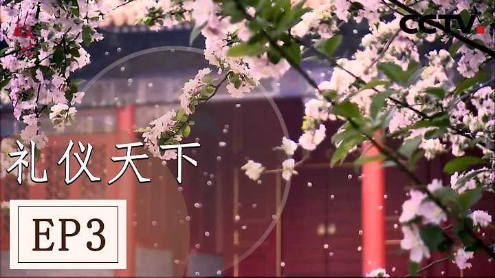 《故宫》第三集 作为礼仪之邦的中心 紫禁城的重要典礼有哪些？【 CCTV纪录】 - 天天要闻
