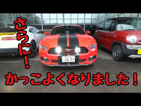 フォグランプの位置変えてみた！マスタング 2015y エコブースト ford mustang