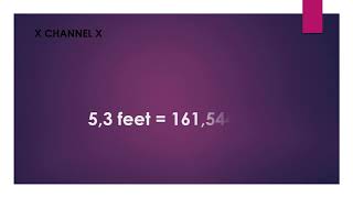 5,3 feet to cm