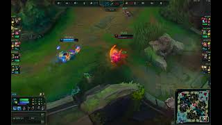 Legends Of Nami10레벨에 10킬 먹은 나미 Fat Nami