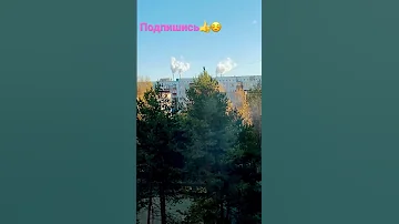 #ВОРОНА ДЕРЖИТ САМЫЙ КРУТОЙ ПОСТ ВО ДВОРЕ #смешные #птицы #забавно #релакс #relax