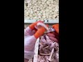Oddly Satisfying Odd Jobs Live