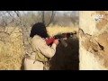 #داعش يتحرك عكس السير من #الرقة إلى #الموصل