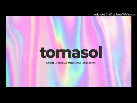 Tornasol- El Taiger