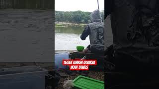 TEGEK SEHATGA "UMKM" DISIKSA IKAN TAWES