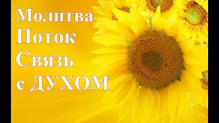 А.В.Клюев - ЭМОЦИИ КРИТИКА / ТЕСТ - ДРУЖБА С ЖИВОТНЫМИ / БЛАГОДАРИТЕ - Проживая Агенду Матери(73/84)