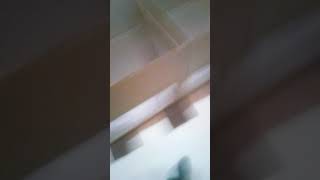 Yeni Tavukların Evi