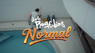 05. Normal (Visualizer) - Los Rogelios