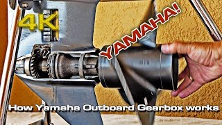 How Yamaha Outboard Gearbox works