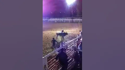 Colby lowe bull riding