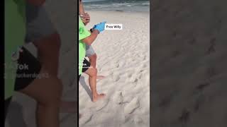 Baby 🐢 turtle rescue by Jamey Miller 13 views 2 years ago 1 minute, 1 second