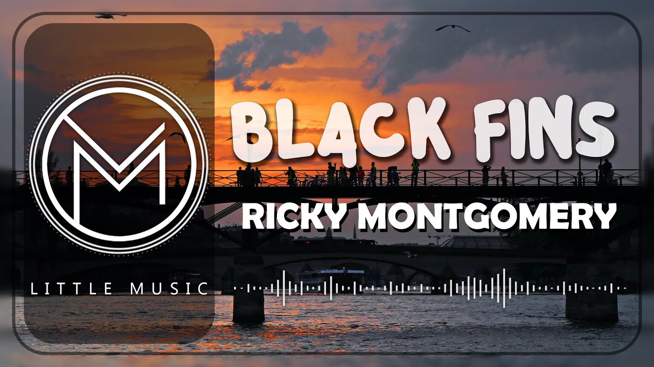 Unveiling The Secrets Of "Black Fins Lyrics": Explore Hidden Meanings ...
