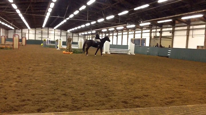 Catherine Ferri on Carson (Intermediate Fences)