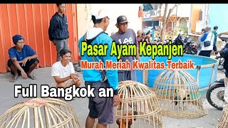 Ed44n‼️Bangkok Chicken Market is Always Busy. Various Prices of Bangkok Chicken at Panjen Chicken...