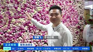 [正点财经]聚焦消博会 鲜花绽放 争奇斗艳 记者探访云南展区| 财经风云