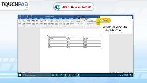 class 4 computer chapter 4 tables in ms word 2016(part 7)