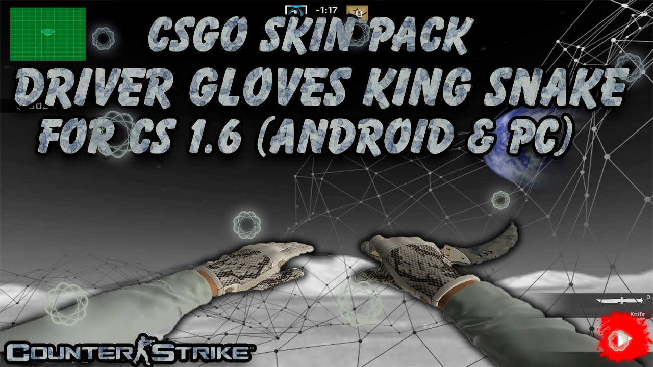 ★CS:GO Skin Pack Driver Gloves King Snake Anarchist Sleeve By ...