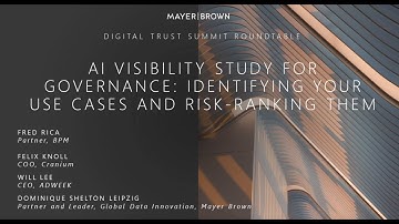 AI Visibility Study for Governance: Identifying Your Use Cases and Risk-Ranking Them