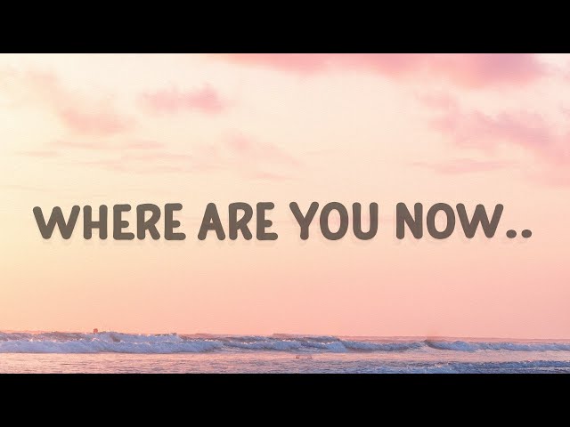 Alan Walker - Where are you now (Faded) (Lyrics) class=