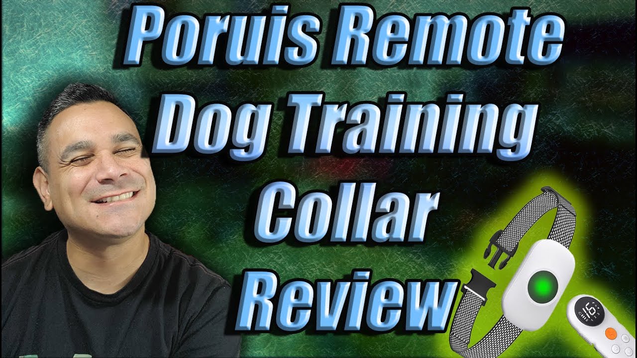 Poruis Remote Dog Training Collar Review YouTube