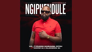Ngiphendule (feat. Cooper SA, BLACKSNOW ZA)