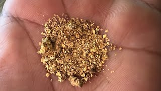 SHOCKED THE WORLD..! AMAZING GOLD DISCOVERY,.!! GOLD FINDING, GOLD RUSH, TRADITIONAL GOLD MINING