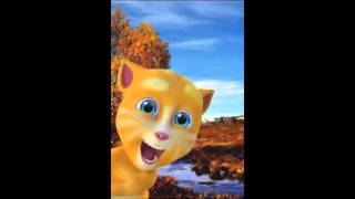 Kattepus - Forteller vitser