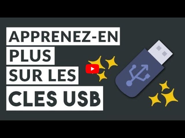 ASHATA Clé USB Cryptée, clé USB Sécurisée Numérique, Empêche Les Fuites de  Données, Disque U à Lecture Rapide avec Verrouillage Automatique pour Une