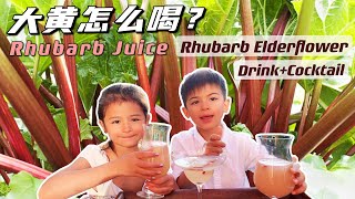 做大黄汁(Rhubarb Juice) +大黄接骨木花饮（Rhubarb Elderflower Drink)+鸡尾酒（Cocktail)｜北欧特色