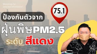 เตือนภัย! ฝุ่นพิษ PM2.5 เข้าขั้นสีแดง ส่งผลต่อสุขภาพ เราจะป้องกันตัวอย่างไรได้บ้าง Daddy's Tips