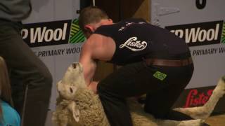 All Nations Intermediate Shearing Final