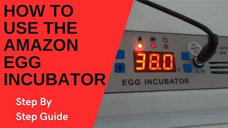 Amazon 16 Egg Incubator: How To Get Started