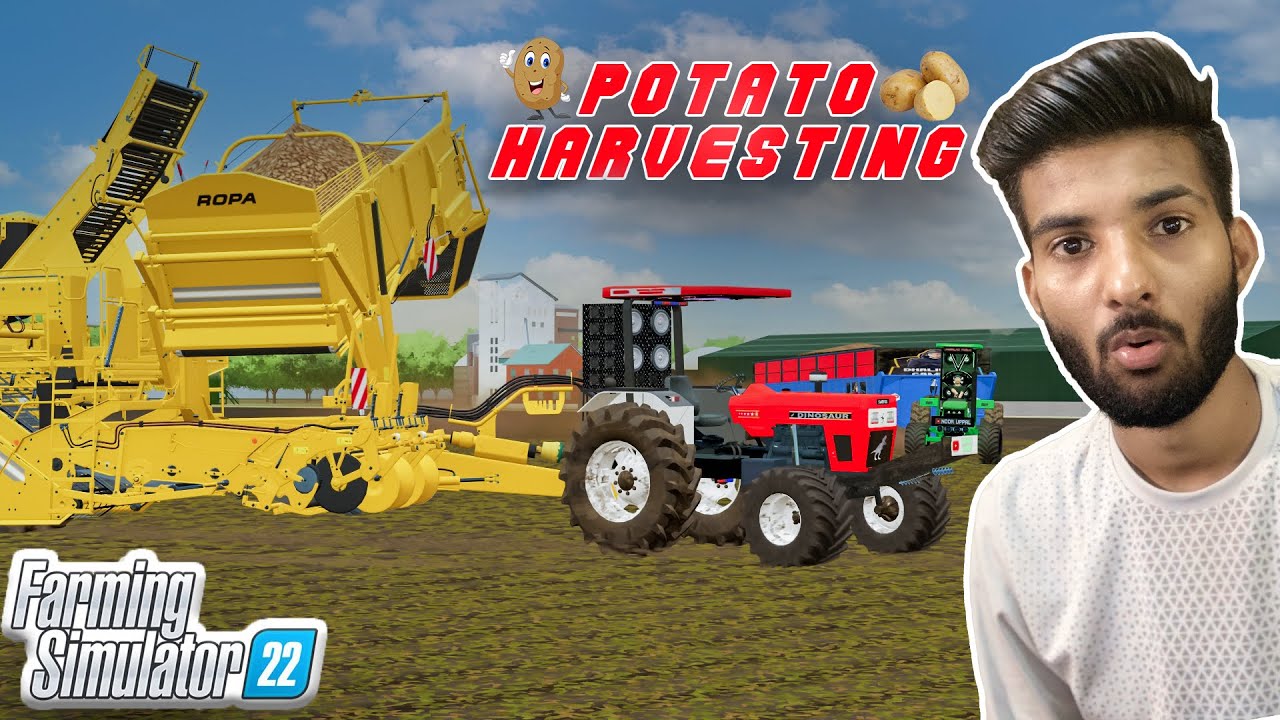 Potato Harvesting with Swaraj 855 Dinosour | FS22