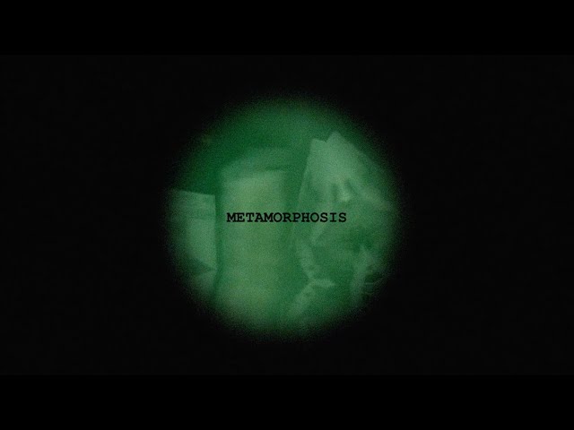 [Experimental Video] Metamorphosis