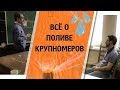 КАК ПРАВИЛЬНО ПОЛИВАТЬ ДЕРЕВЬЯ?  Рекомендации МГУ - эпизод #1