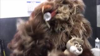 Bigfoot lives in Farmers House