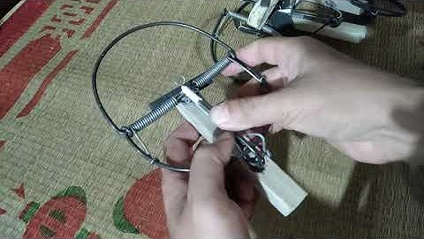 Hướng dẫn sử dụng bẩy chuột bán nguyệt cải tiến Quang Thiều - Hàng giả hàng nhái rất nhiều.