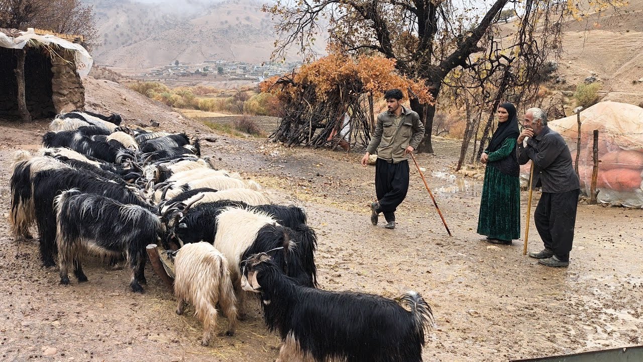 Кочевой образ жизни. Взгляд в традиционный мир старомодного быта.