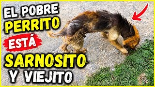 Lo prometido es deuda ! 