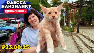 СОБАЧИЙ Рынок ОДЕССА! ПРОДАЖА и Обзор ЦЕН! Разные ПОРОДЫ СОБАК и КОШЕК!СТАРОКОННЫЙ #одессанаизнанку 