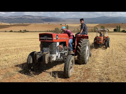 YAYLI PULLUK DÜZ PULLUK MASSEY FERGUSON 165 & FİAT 480