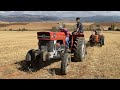 YAYLI PULLUK DÜZ PULLUK MASSEY FERGUSON 165 & FİAT 480