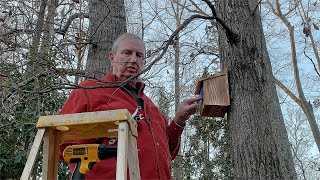 Environmentally Friendly Birdhouse for American Songbirds