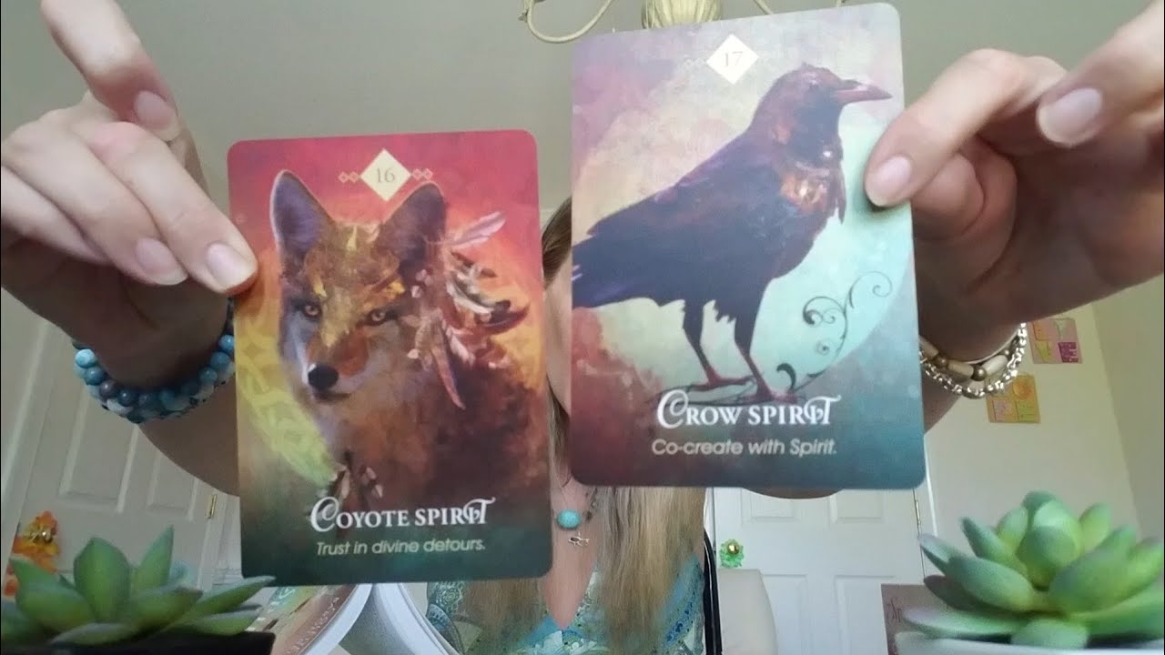 SPIRIT ANIMAL GUIDANCE FOR FRIDAY AUGUST 9 2019 YouTube SPIRIT ANIMAL GUIDANCE FOR FRIDAY AUGUST 9 2019 YouTube