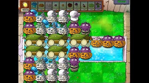 5 Cob Setup | Survival Endless