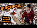 Making Birch Oil From Birch Bark - Ancient Medicine and Natural Super Glue